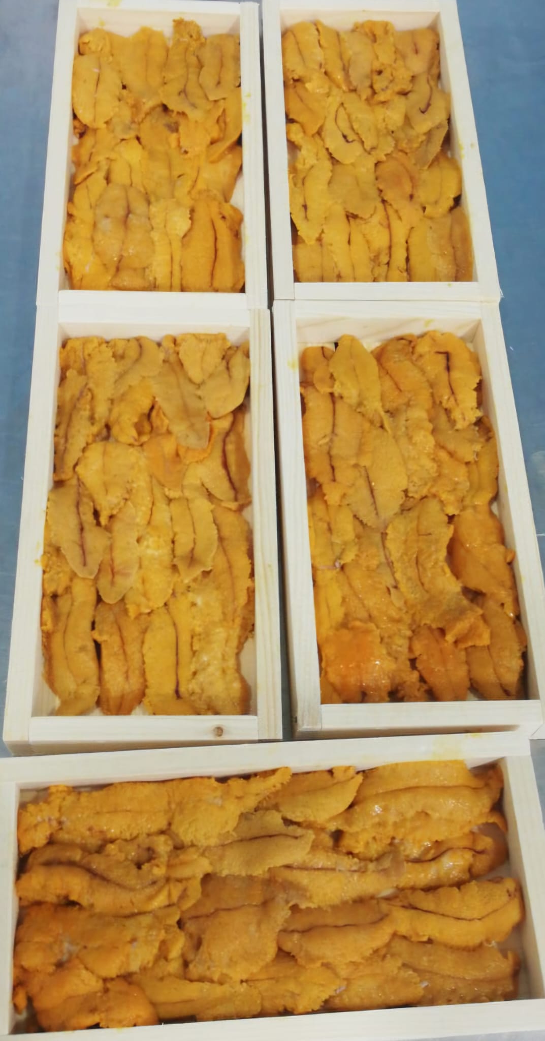 Lengua de erizo (sea urchin tongue)